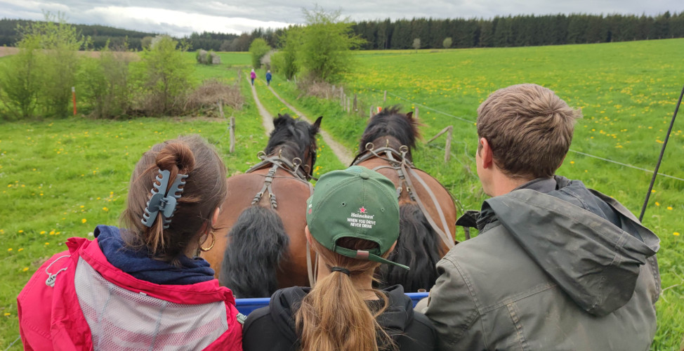 Balade en calèche au coucher de soleil