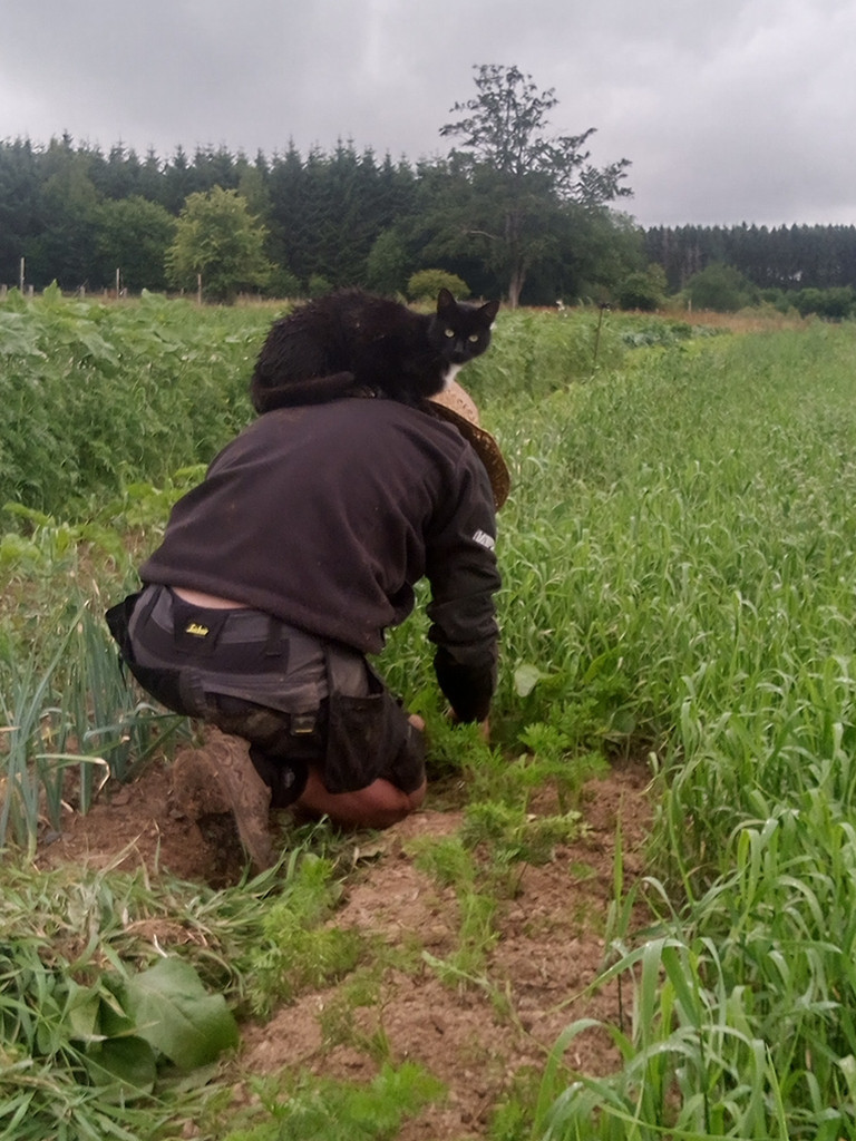 La vie à la ferme