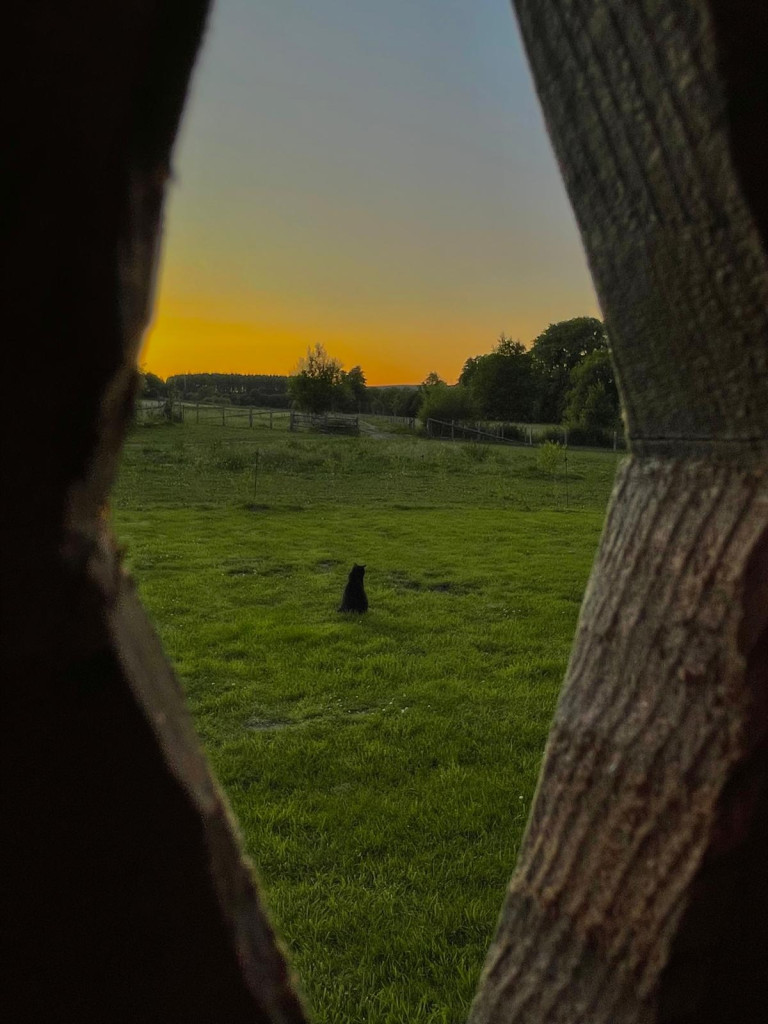 La vie à la ferme